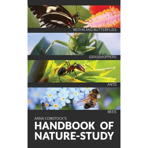 The Handbook Of Nature Study in Color - Insects