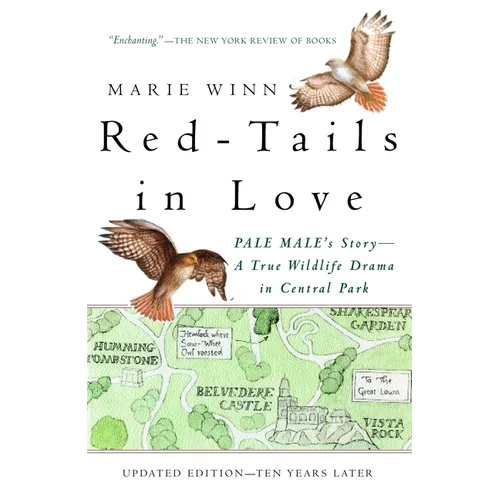 Red-Tails in Love: PALE MALE'S STORY--A True Wildlife Drama in Central Park