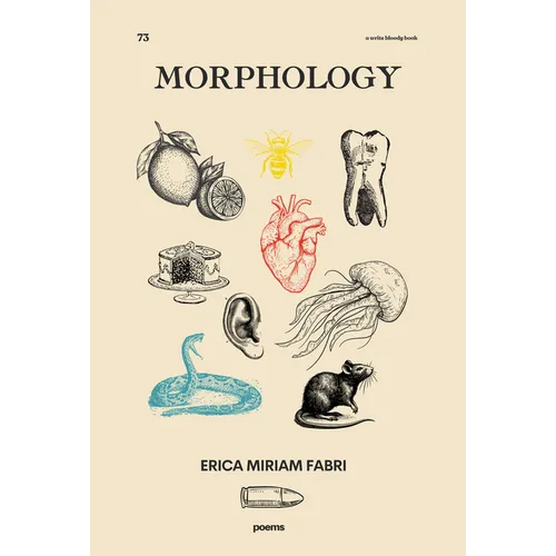 Morphology