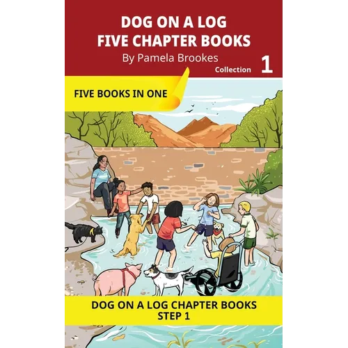 Five Chapter Books 1: Decodable Series for Students Learning to Read. For Beginning Readers and Students with Dyslexia. (Step 1-All Letters plus Conso