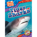 Tiger Sharks