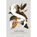 Softening