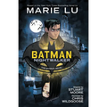 Batman: Nightwalker (the Graphic Novel)