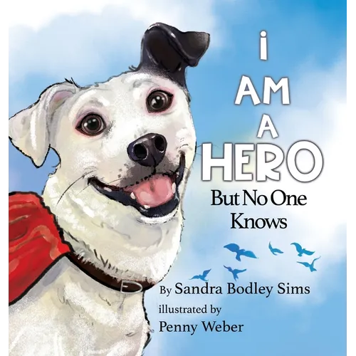 I Am A Hero But No One Knows