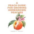 A Peach Guide For Growing Homegrown Peaches