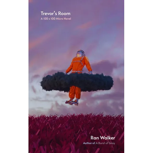 Trevor's Room: A 100 x 100 Micro Novel