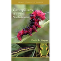 Caterpillars of Eastern North America: A Guide to Identification and Natural History