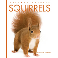 Squirrels