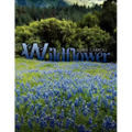 Wildflower