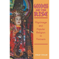 Goddess on the Rise: Pilgrimage and Popular Religion in Vietnam