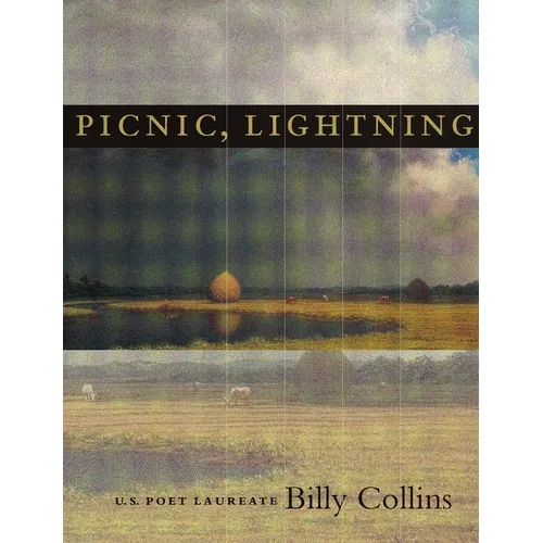 Picnic, Lightning
