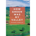 How Green Was My Valley