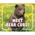 Meet Bear Cubs!