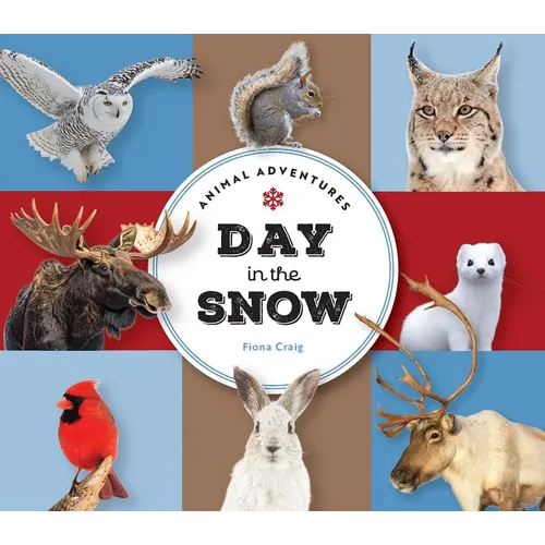 Animal Adventures: Day in the Snow