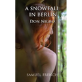 A Snowfall in Berlin