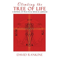 Climbing the Tree of Life: A Manual of Practical Magical Qabalah