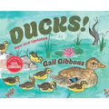 Ducks! (New & Updated)
