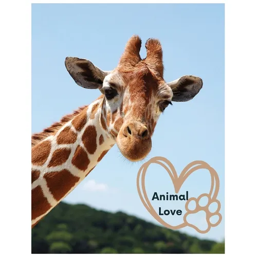 Animal Love: A picture book for Seniors with dementia or Alzheimer's patients. Cute photos of animals with uplifting quotes in large print.