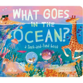 What Goes in the Ocean?: A Seek-And-Find Book