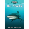Bull Sharks