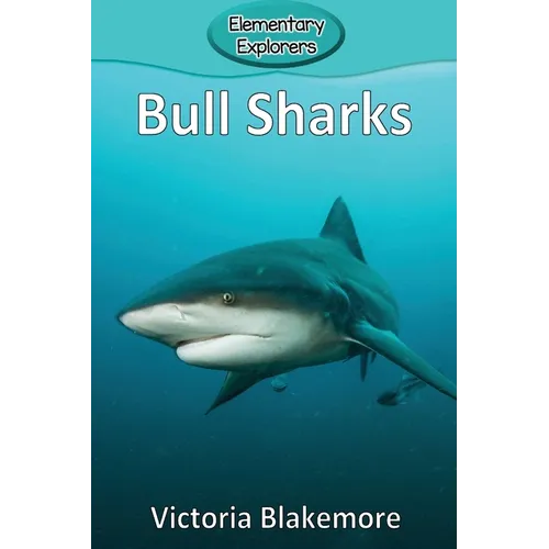 Bull Sharks