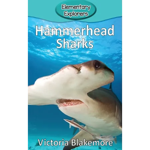 Hammerhead Sharks