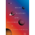 A Brief History of the Universe (and Our Place in It)