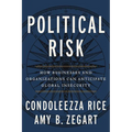 Political Risk: How Businesses and Organizations Can Anticipate Global Insecurity