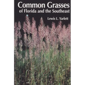 Common Grasses of Florida & The Southeast