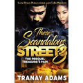 These Scandalous Streets 3: The Prequel. Treasure's Pain