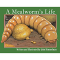 A Mealworm's Life