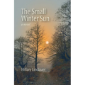 The Small Winter Sun