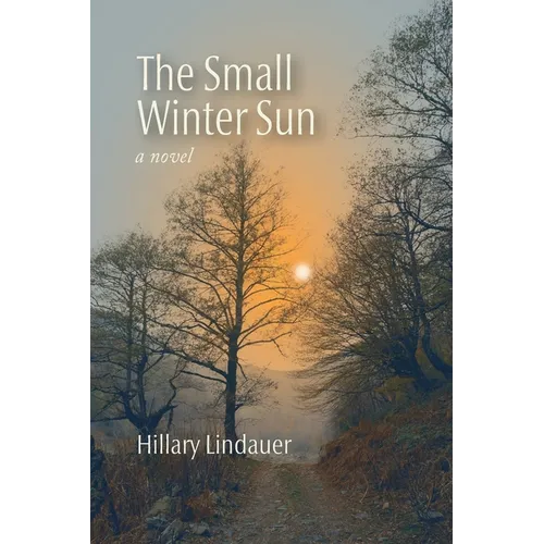 The Small Winter Sun