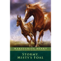 Stormy, Misty's Foal