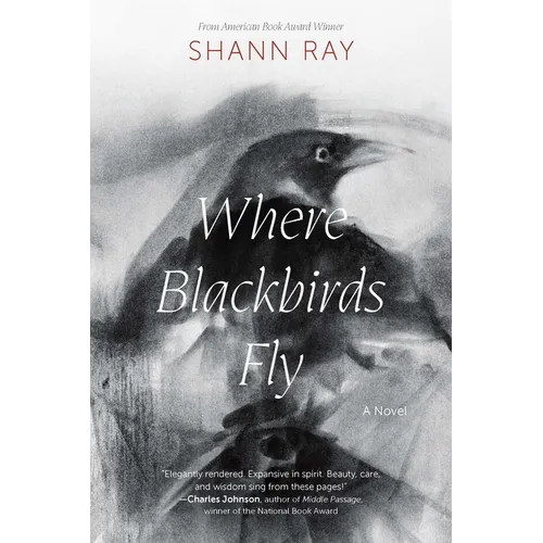 Where Blackbirds Fly