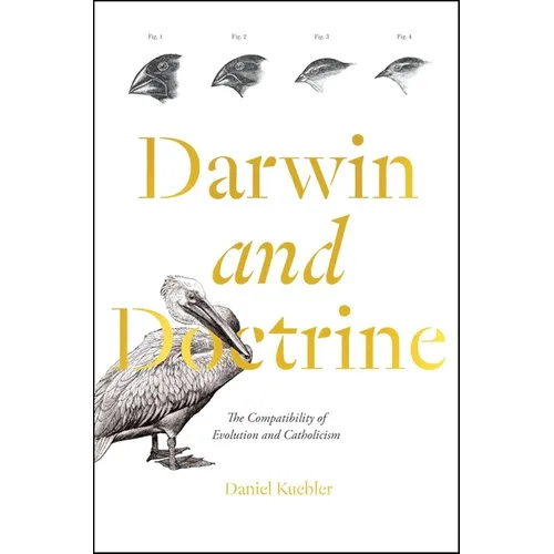 Darwin and Doctrine: The Compatibility of Evolution and Catholicism