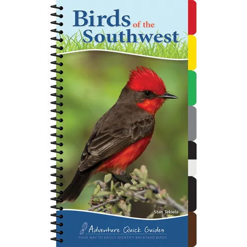 Birds of the Southwest: Your Way to Easily Identify Backyard Birds