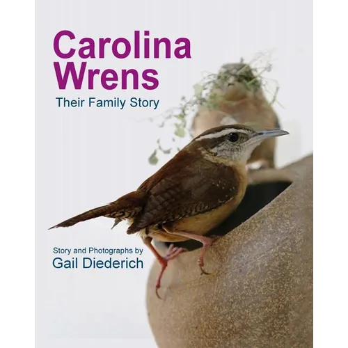 Carolina Wrens: Their Family Story