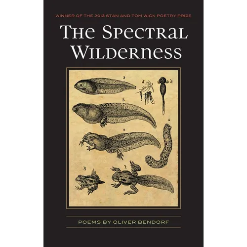 The Spectral Wilderness