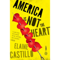 America Is Not the Heart