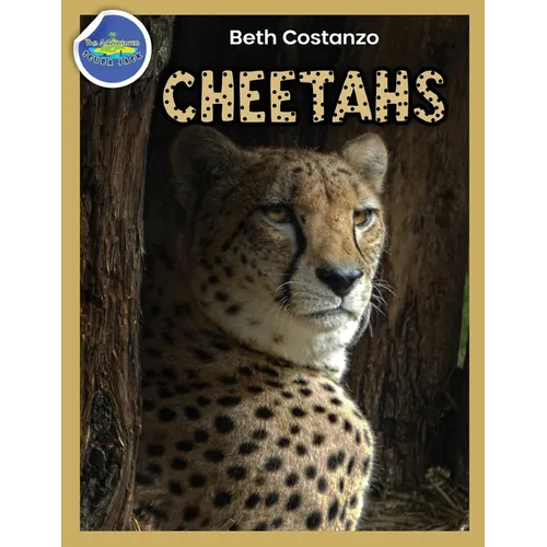 Cheetah Activity Workbook ages 4-8