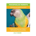 Poicephalus Parrots: Poicephalus Parrots As Pets