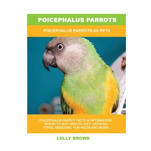 Poicephalus Parrots: Poicephalus Parrots As Pets