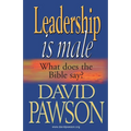 Leadership is Male
