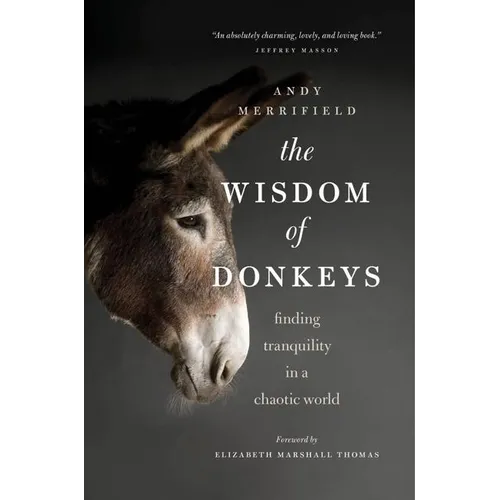The Wisdom of Donkeys: Finding Tranquility in a Chaotic World