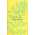 How To Identify Plants