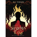 Realm of Shadows and Flame: Book 1 in the Court of Infinites Series