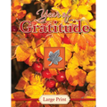Year of Gratitude - Large Print (Daily Prayer Books)