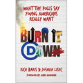 Burn It Down: What the Polls Say Young Americans Really Want