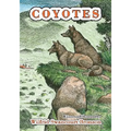 Coyotes